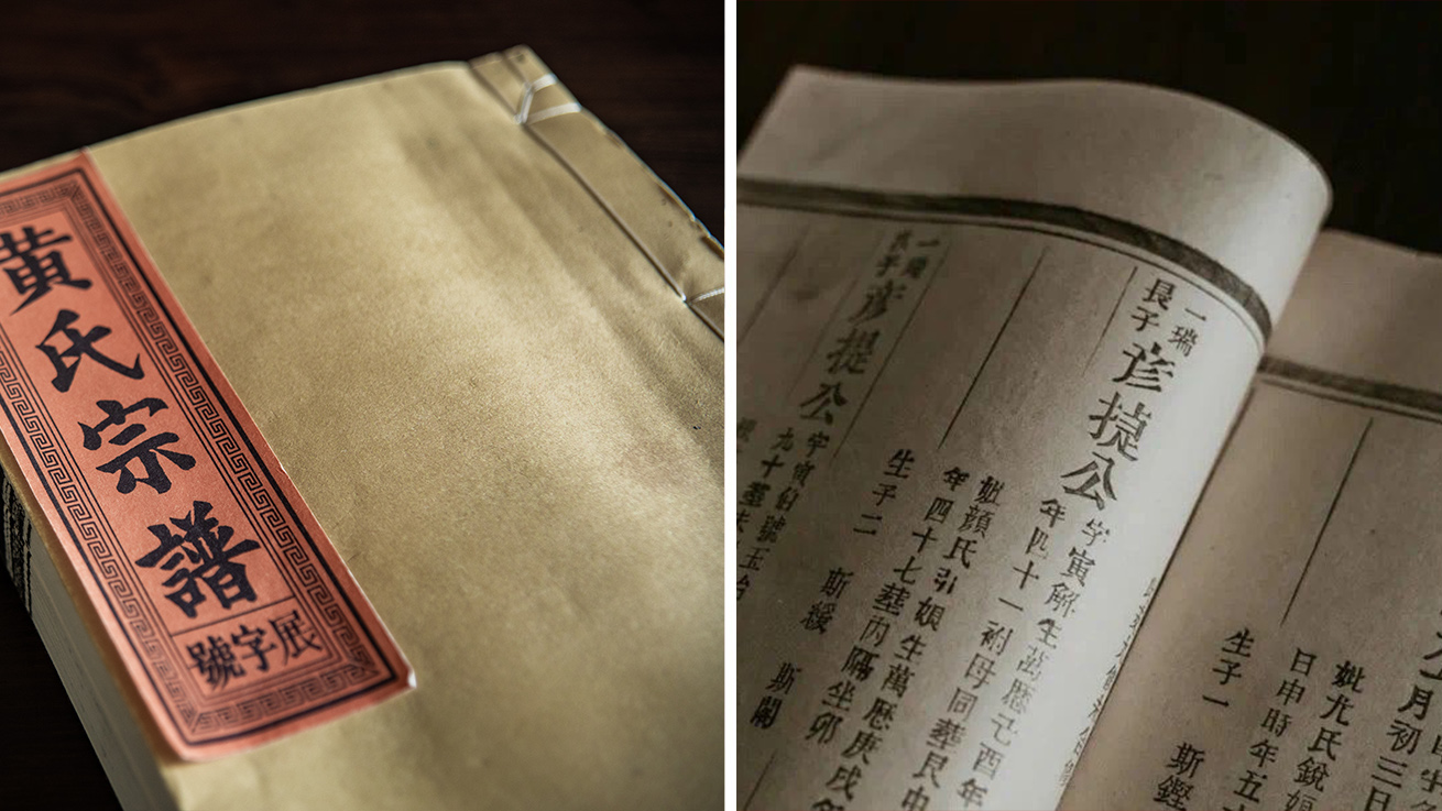 定居武夷 定居武夷