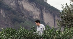 手工｜即温度