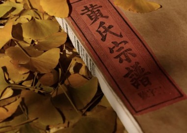禅 色 | 瑞泉黄