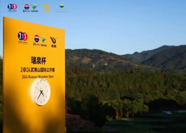 以茶为媒，连接世界